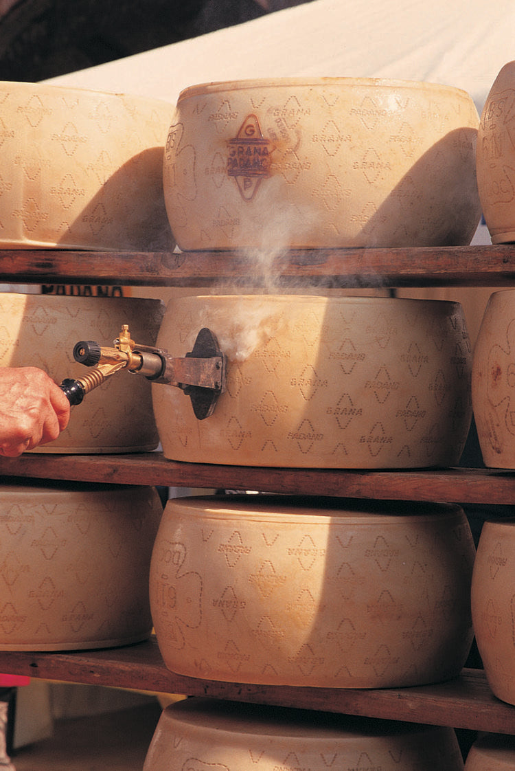 Queso grana padano